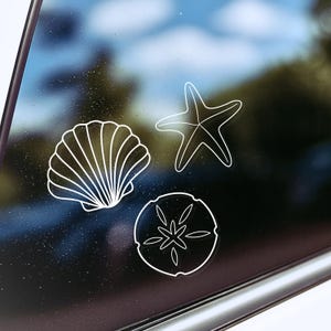 Seashell Cluster Vinyl Decal | Seashells Car Window Decal