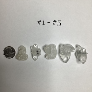 May include: Five small, clear quartz crystal clusters, numbered #1 - #5, arranged in a row on a white surface. A US quarter is included for scale.