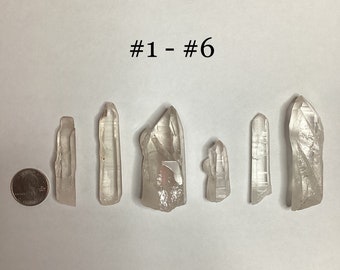 May include: Six clear quartz crystal points of varying sizes and shapes, arranged in a row on a white surface. The crystals are all natural and have a translucent appearance. The text "#1 - #6" is written above the crystals.