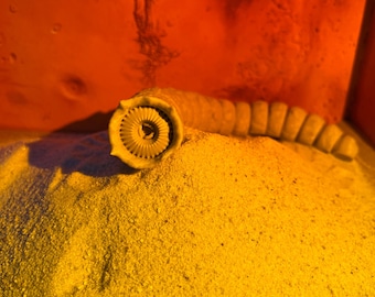 Flexible Dune Sandworm Toy – 3D Printed Articulated Sci-Fi Creature – Poseable Desert Worm Figurine – Unique Gift for Movie Fans