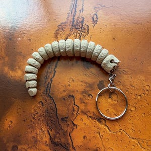 Op de afbeelding: Een beige, gesegmenteerde en gebogen sleutelhanger bestaande uit een reeks kleine, afgeronde, getextureerde onderdelen die met elkaar verbonden zijn in een flexibele, wormachtige vorm, bevestigd aan een zilverkleurige metalen ring.