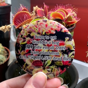 Puede incluir: Un botón redondo con fondo negro y una imagen colorida de una planta de venus atrapamoscas. El botón tiene texto blanco que dice "born to eat world is a bog 申 bite em all 1989 i am plant man 410,757,864,530 dead flies".