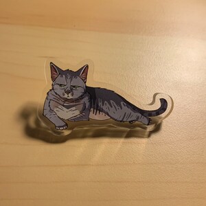 May include: A gray and white tabby cat with green eyes is lying down with its tail curled around its body. The cat has a grumpy expression on its face.