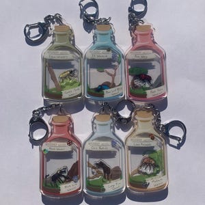 May include: Six clear acrylic bottle-shaped keyrings with silver keyrings. Each keyring features a different insect illustration inside, with text labels like "Gold-Dusk Weevil" and "Resident Weevil". The bottles have cork-like tops.