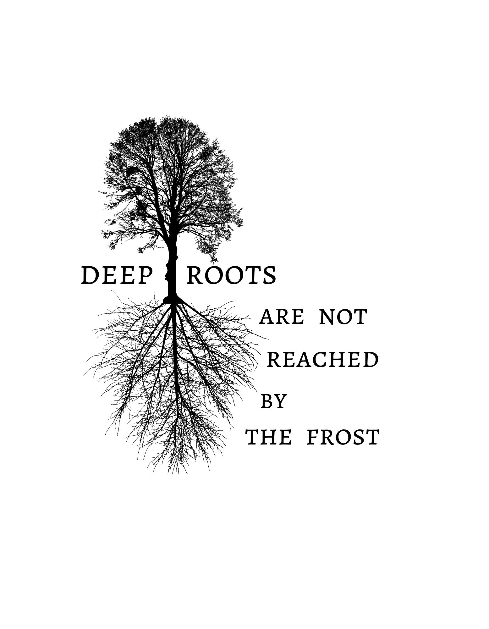 Have Strong Roots Tree Roots Quotes