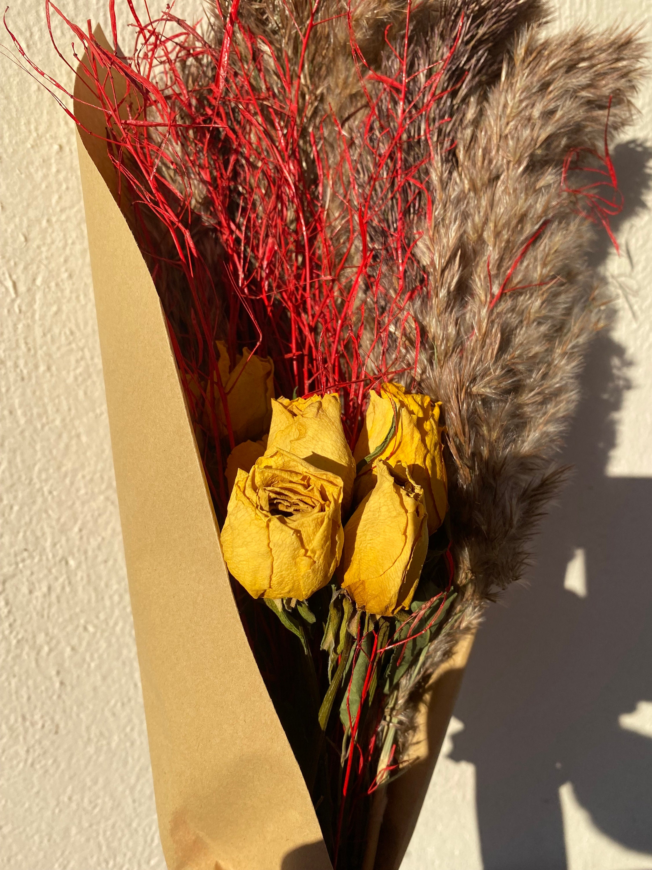 Naturelle et Stabilisée