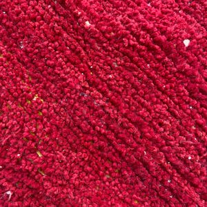 May include: Close-up of a vibrant red rug with a textured, plush surface. The rug's color is a deep, rich red, with a slightly uneven texture. Small flecks of white and yellow are visible throughout the rug.