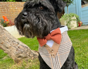 Bella and Barns Couture Dog Tux, Bespoke Service, Made Individually for your Dog
