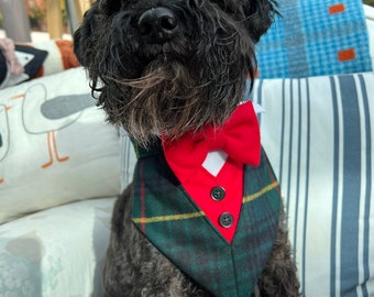 Bella and Barns Couture Christmas Tux