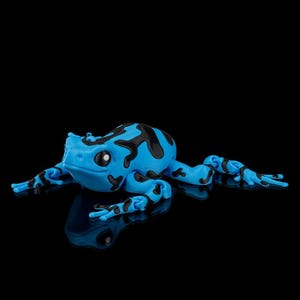 Op de afbeelding: Een felblauwe kikkerfiguur met zwarte markeringen. De kikker is afgebeeld met uitgestrekte ledematen, wat het gedetailleerde ontwerp benadrukt. De figuur heeft witte ogen en staat tegen een zwarte achtergrond.