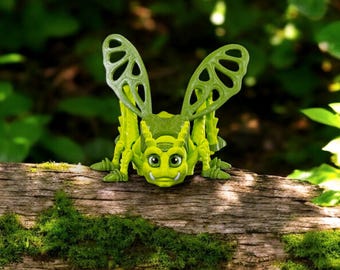 Jimmy el saltamontes