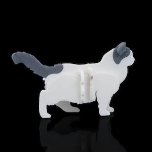 Kit chat ragdoll carte
