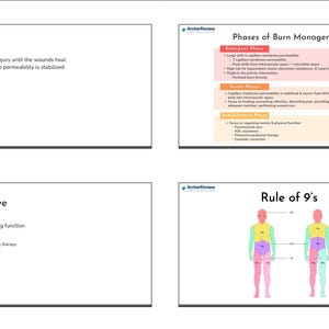 May include: A set of four educational slides from ArcherReview. The slides cover burn management phases, including emergent, acute, and rehabilitative phases. One slide illustrates the Rule of 9's for burn assessment.