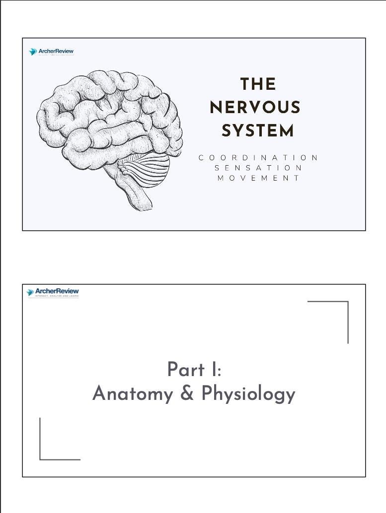 The Nervous System PDF Notes Printable, Instant Download - Etsy