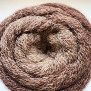 Brown Gradient Merino Wool Yarn: Worsted Weight, Arenaria EY Select