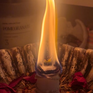 May include: A white pillar candle with a tall, bright orange flame, wrapped in a dark braided cord. The candle sits inside a fluted ceramic bowl filled with scattered dried red rose petals and small brown botanical pieces, illuminated by the glow.