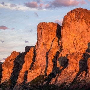 Salt River, Arizona