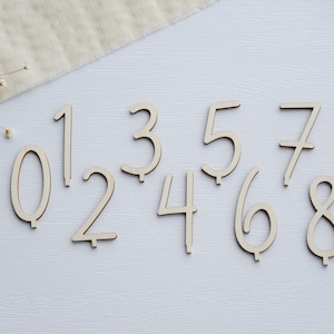 Könnte beinhalten: Holzziffern von 0 bis 9 in einer handschriftlichen Schriftart. Die Zahlen sind in zwei Reihen auf einer weißen Oberfläche angeordnet.