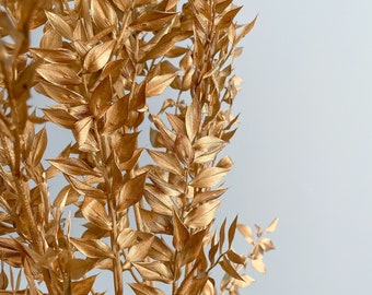 Ruscus Gold 5 Stiele | Getrocknete Blumen | Getrocknetes Arrangement | Hochzeit | Kuchendeko | Rustikales Hochzeitsdekor | Handwerk