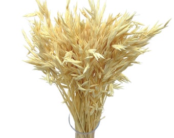 Avena blanqueada seca ~50 tallos | manojo de trigo Granos secos | Flores secas| Arreglo floral | Rústico | País | Decoración de bodas