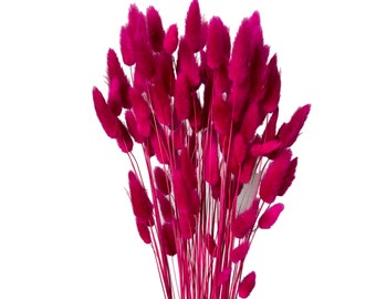 Dried Fuchsia Bunny Tails -70 stems - Dried Lagurus | Gift | Home Decor | Dried Flowers Bunny tails | Natural | Cake Decoration | Boho