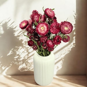 Dried Dark Pink Helichrysum Bunch 90g | Strawflower bouquet | Home Decor | Dried Flowers | Flower farm | Meadow Flowers | Field Flowers