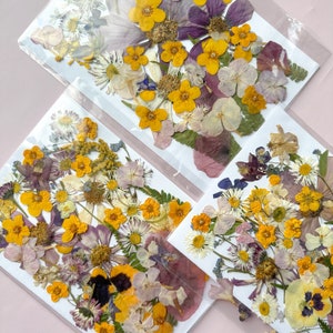 Pressed Flowers set Dried Flowers in Resin Flower arrangement Pressed Flower Meadow Wedding decor handcraft decor image 6