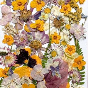 Pressed Flowers set Dried Flowers in Resin Flower arrangement Pressed Flower Meadow Wedding decor handcraft decor image 9