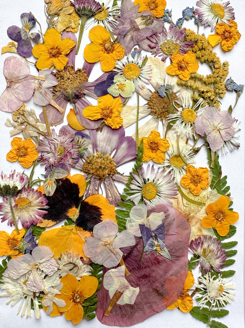 Pressed Flowers set Dried Flowers in Resin Flower arrangement Pressed Flower Meadow Wedding decor handcraft decor image 9