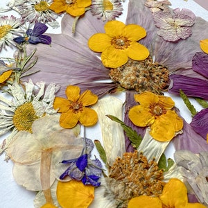 Pressed Flowers set Dried Flowers in Resin Flower arrangement Pressed Flower Meadow Wedding decor handcraft decor image 10