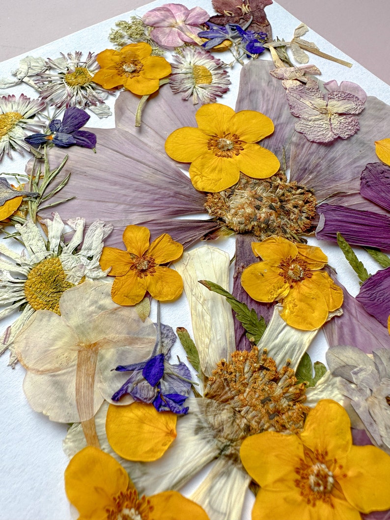 Pressed Flowers set Dried Flowers in Resin Flower arrangement Pressed Flower Meadow Wedding decor handcraft decor image 10