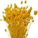 see more listings in the Dried grasses section