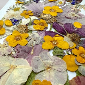 Pressed Flowers set Dried Flowers in Resin Flower arrangement Pressed Flower Meadow Wedding decor handcraft decor image 4
