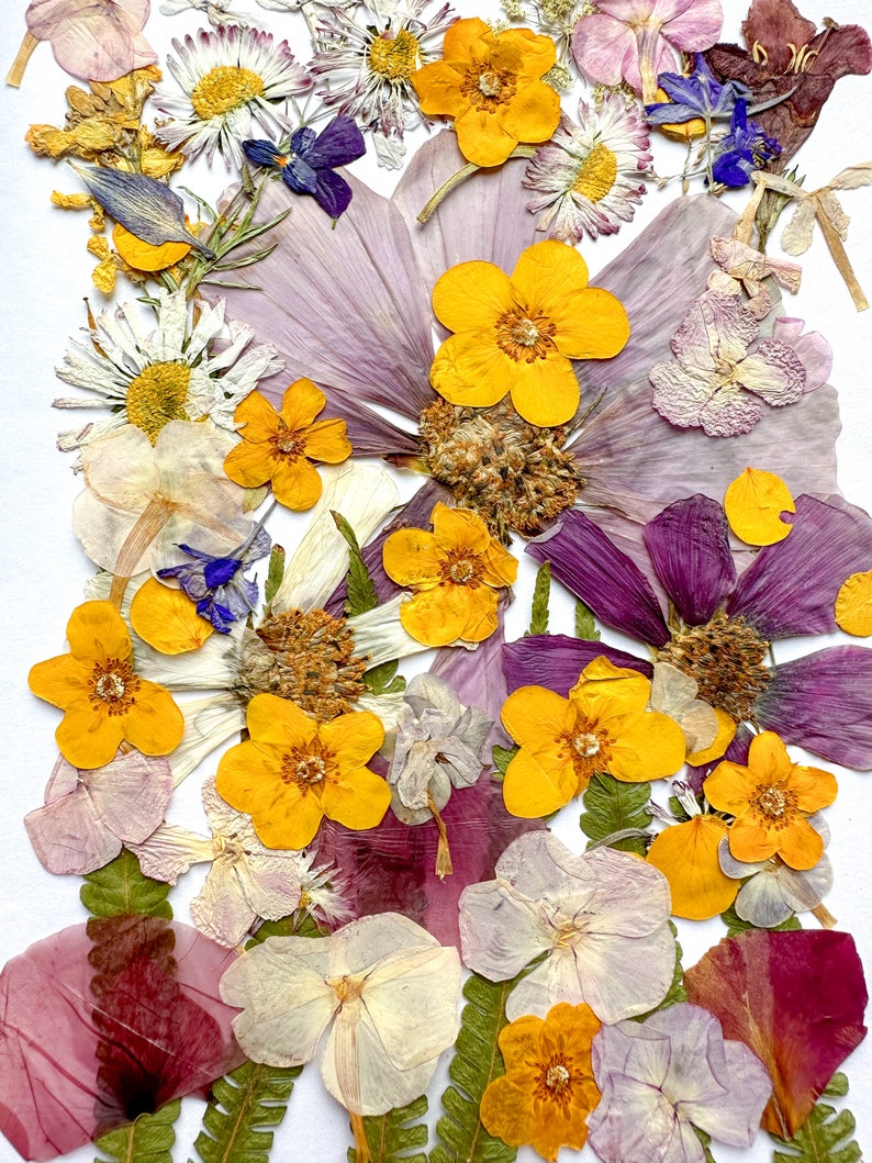 Pressed Flowers set Dried Flowers in Resin Flower arrangement Pressed Flower Meadow Wedding decor handcraft decor image 8