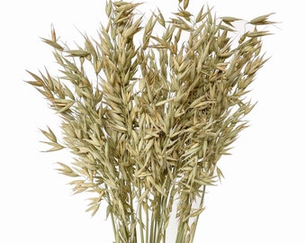 Avena natural seca (aprox. 50 tallos) | Racimo de trigo | Granos secos | Flores secas | Arreglo floral | Rústico | Campestre | Decoración para bodas