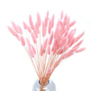 Light Pink Bunny Tails -80 stems - Natural Dried Lagurus | Gift | Home Decor | Dried Flowers Bunny tails | Wedding | Cake Decoration | Boho