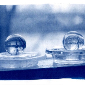 Cyanotype Greetings Card