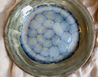 Turtle frozen pond plate