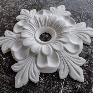 May include: White plaster ceiling medallion with a floral design. The medallion has a central hole for a light fixture.