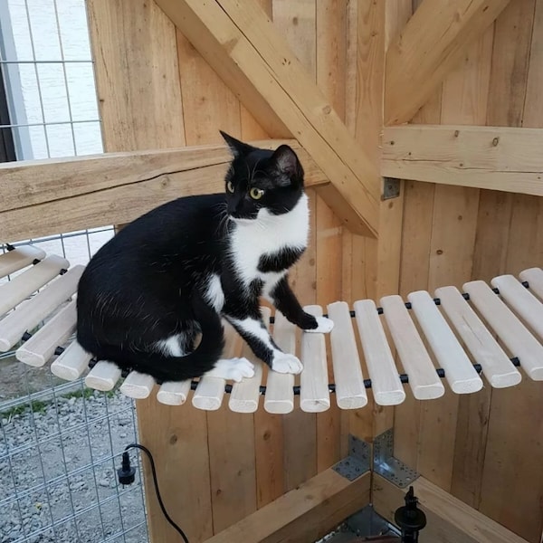 Katzenhängebrücke Catwalk Katzenbrücke Kletterleiter Katzen Hängebrücke Holz 130