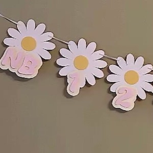 Daisy Photo Banner, Groovy birthday party banner, Daisy theme party decor, Groovy Theme birthday Banner, 70s theme birthday decor