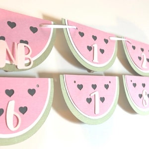 One in a melon birthday, One in a melon Photo Banner, Watermelon birthday decorations, First Birthday Banner, Milestone Photo