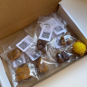 MEOWMEDS SAMPLER PACK/ Pill Pocket Dough Treat / Hide & Disguise Cat Medication / Trial Size image 1
