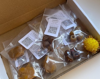 MEOWMEDS SAMPLER PACK/ Pill Pocket Dough Treat / Hide & Disguise Cat Medication / Trial Size