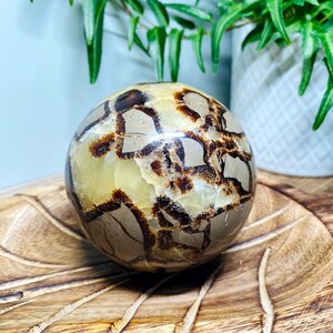 Large SEPTARIAN Crystal Sphere | 718 Grams | Quartz Sphere | Crystal Healing Stone