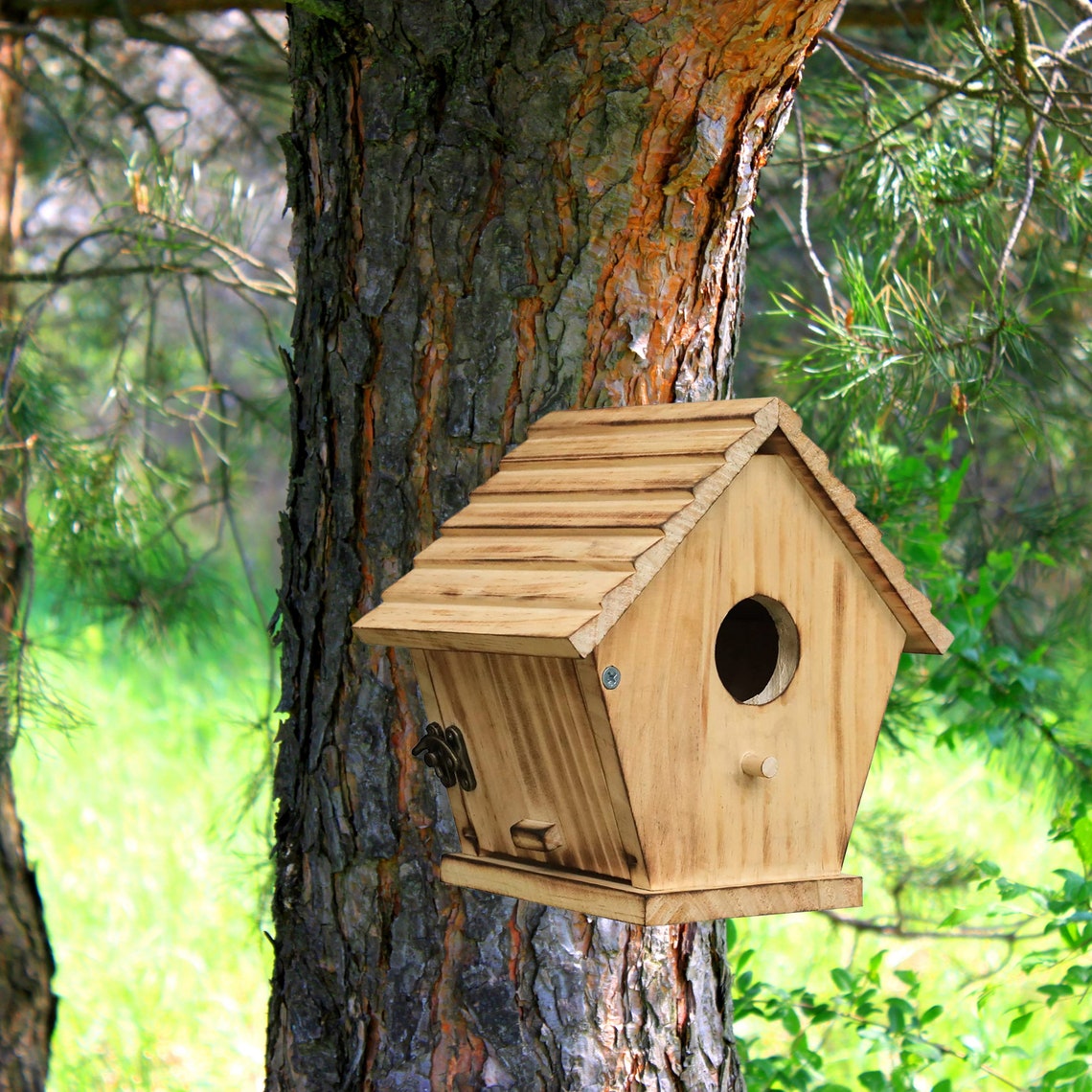 Outdoor Bird House for Outside Clearance Wooden Birdhouse Etsy