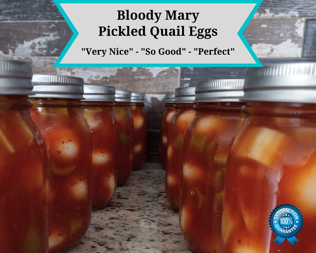 Bloody Mary Pickled Quail Eggs, Celery and Olives Mmmmm Mmm Mmm Etsy