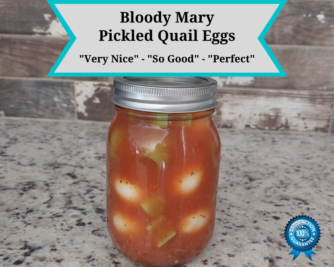 Bloody Mary Pickled Quail Eggs, Celery and Olives Mmmmm Mmm Mmm Etsy