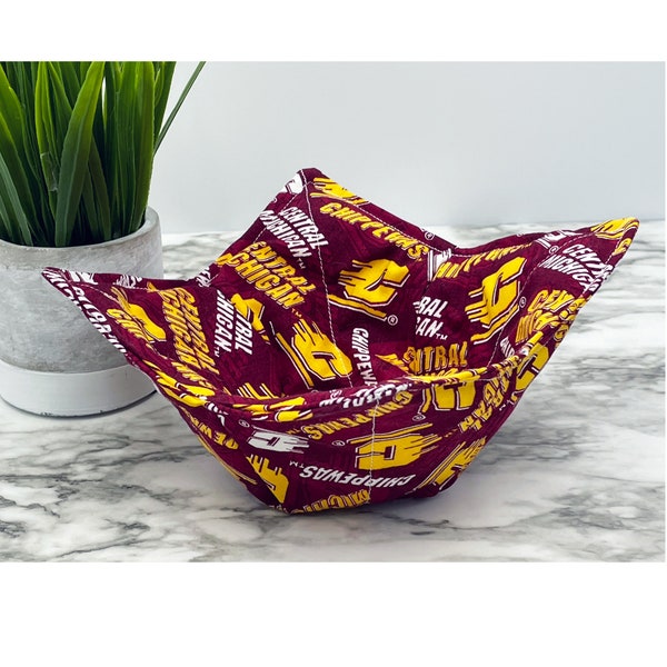 Central & Western Michigan University Bowl Cozies