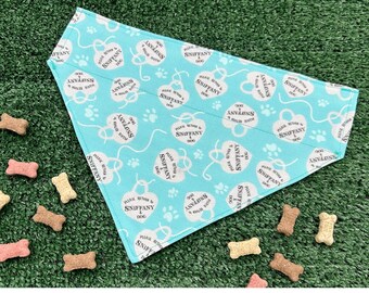 Dog Collar Bandana: Bougie Pups